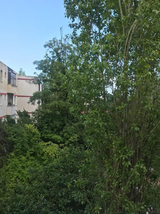 Apartament Myria Κονστάντζα Εξωτερικό φωτογραφία